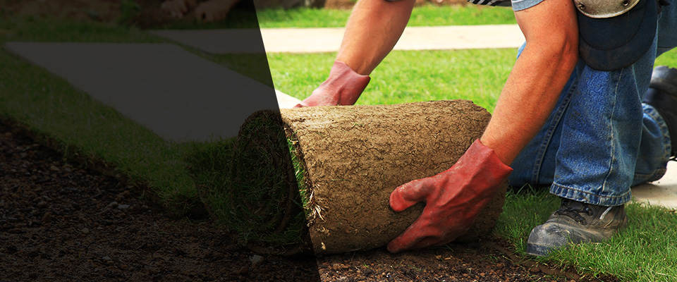 Barrow Landscapers